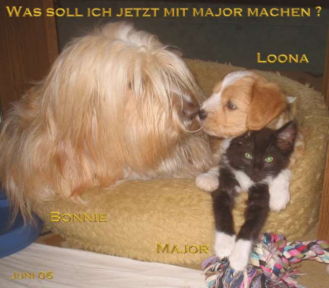 ../Images/bonnie017_und_loona_und_major_juni_06.jpg
