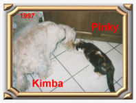 ../Images/kimba011_und_pinky01.jpg