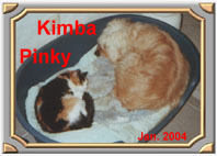 ../Images/kimba013_und_pinky03.jpg