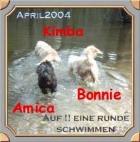../Images/amica_bonnie_und_kimba.jpg