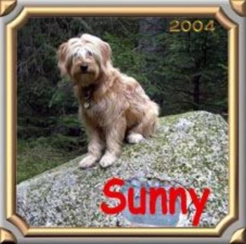 ../Images/sunny01.jpg