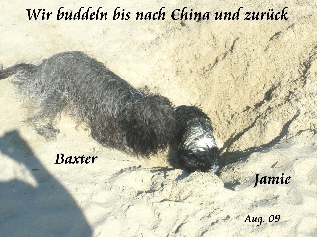 ../Images/jamie-wir-buddeln-bis-nach-China-und-zurueck-01.jpg