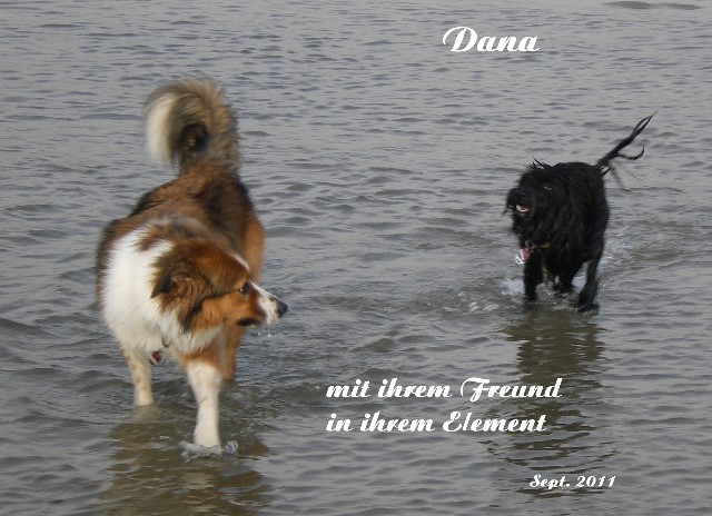 ../Images/dana-dean-holland-sept.2011-02.jpg