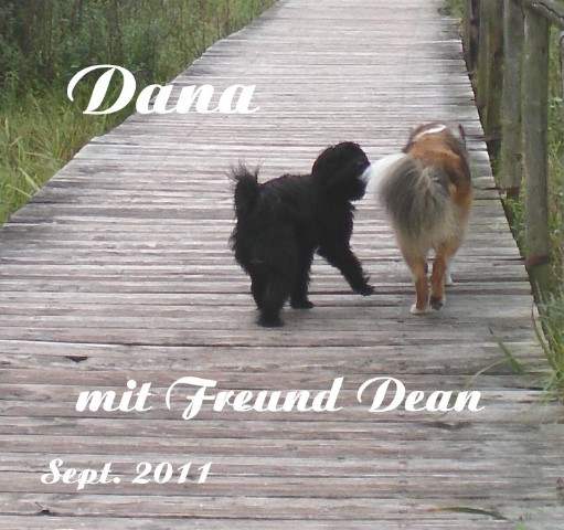 ../Images/dana-dean-holland-sept.2011-04.jpg
